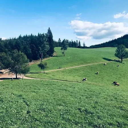 Giessler Modern Retreat 4* Biberach (Baden)